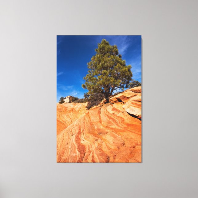 Lienzo Red Rock Conifer (Anverso)