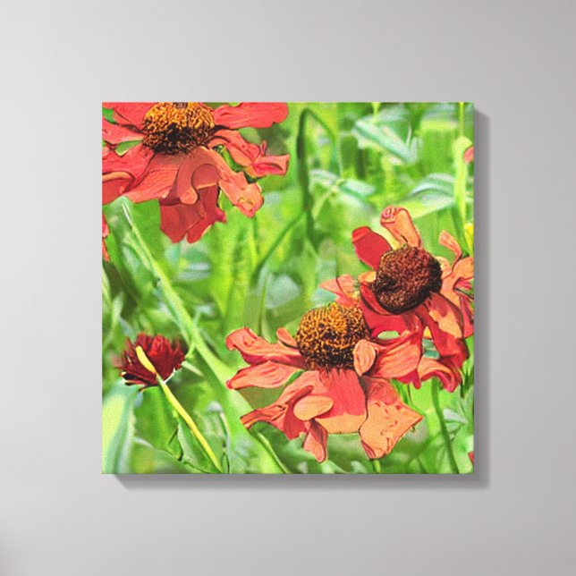 LIENZO RED RUDBECKIA FLOWERS (Anverso)