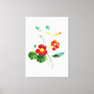 Lienzo Red Willow II Reverige: Botánico Vintage