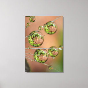 Lienzo Reflejo de gotas de agua