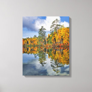 Lienzo Reflejos de estanque en otoño, Maine