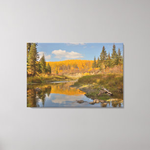 Lienzo Reflejos de Otoño - Álamo Temblón