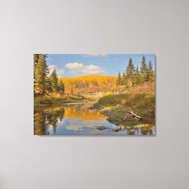 Lienzo Reflejos de Otoño - Álamo Temblón (Anverso)