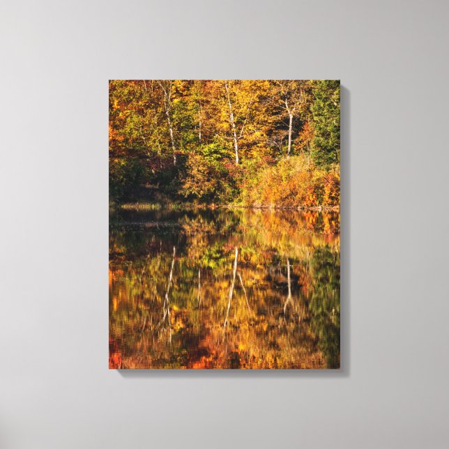 Lienzo Reflexión de otoño en Coffin Pond (Anverso)