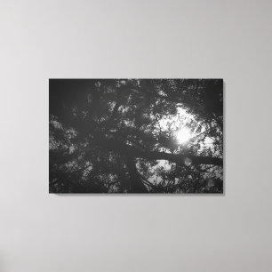 Lienzo Reflexión del árbol de Neem