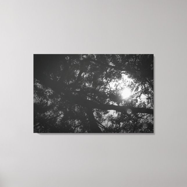 Lienzo Reflexión del árbol neem (Anverso)