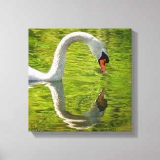 Lienzo Reflexión del cisne