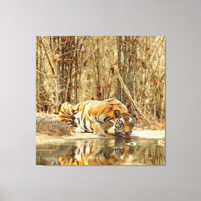 Lienzo Reflexión del tigre (Anverso)