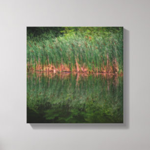 Lienzo Reflexiones Cattail En El Efecto Orton Pond