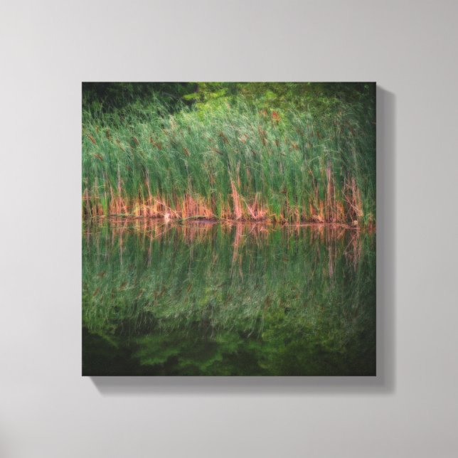 Lienzo Reflexiones Cattail En El Efecto Orton Pond (Anverso)