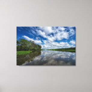 Lienzo Reflexiones peruanas de la selva