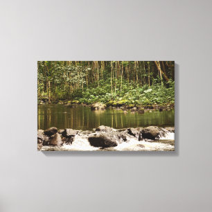 Lienzo Reflexiones sobre el agua