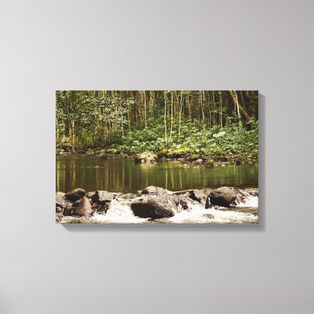 Lienzo Reflexiones sobre el agua (Anverso)