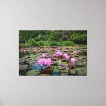 Reflexiones tranquilas: Nieves de agua rosada