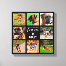 Regalo conmemorativo de mascota | En la memoria am