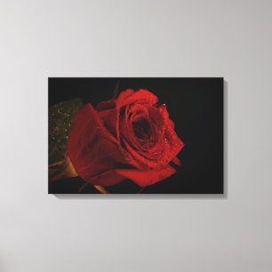Lienzo Regalo de rosa rojo amor