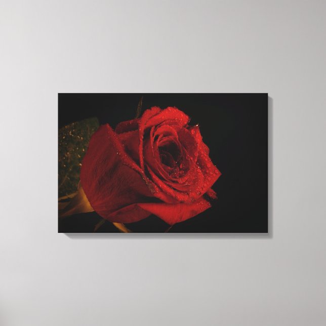 Lienzo Regalo de rosa rojo amor (Anverso)