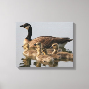 Lienzo Regalos para los amantes de las aves en Canadá