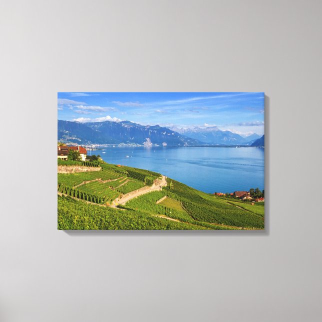 Lienzo Región de Lavaux, Vaud, Suiza (Anverso)
