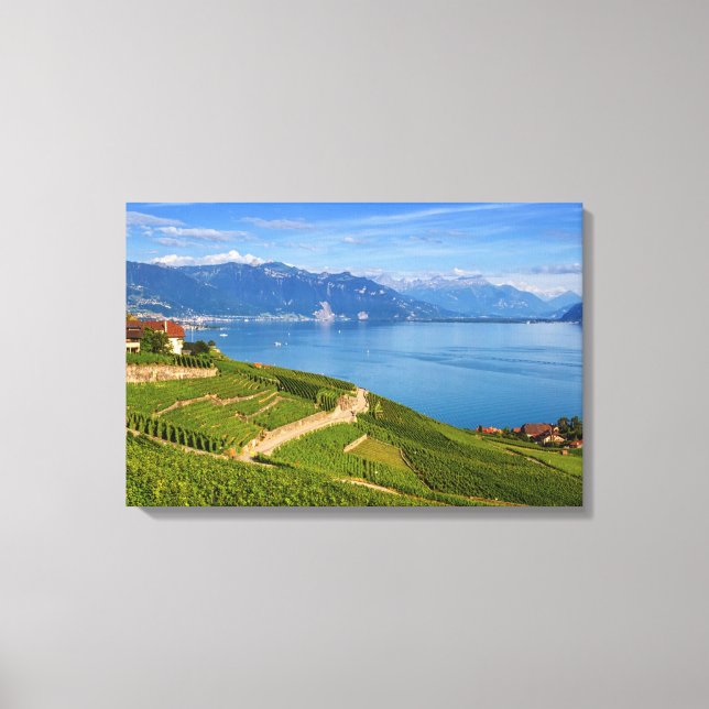 Lienzo Región de Lavaux, Vaud, Suiza (Anverso)