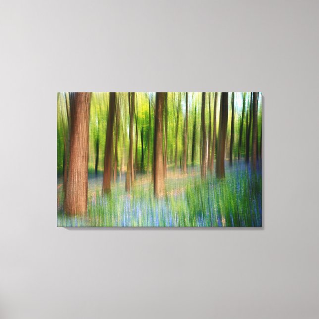Lienzo Reino Unido Inglaterra | Bosque de roble de campan (Anverso)