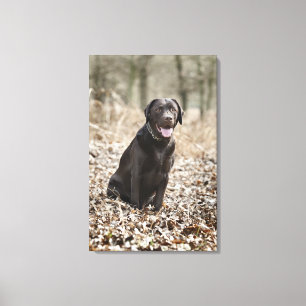 Lienzo Reino Unido, Inglaterra, Suffolk, bosque de