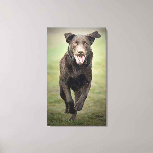 Lienzo Reino Unido, Inglaterra, Suffolk, Thetford Forest, (Anverso)