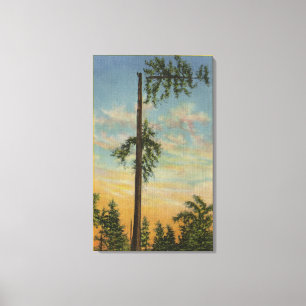Lienzo Rematar la picea gigante para la navegación de 20