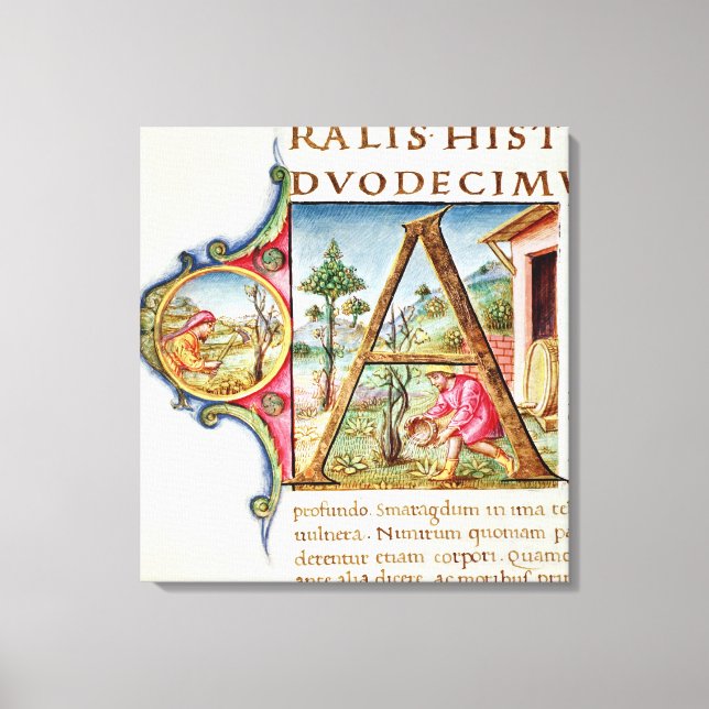 Lienzo Representación 'A' inicial historiada (Anverso)