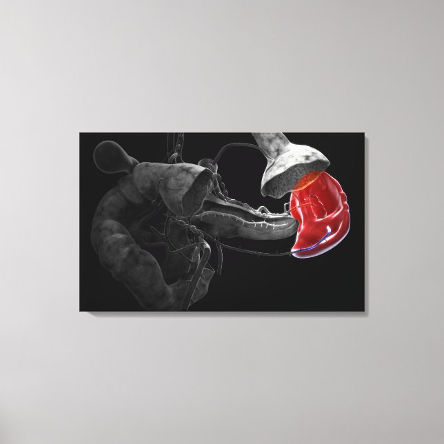 Lienzo Representación artística 3d del bazo (Anverso)