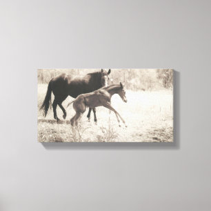 Lienzo Reproducción de puntos