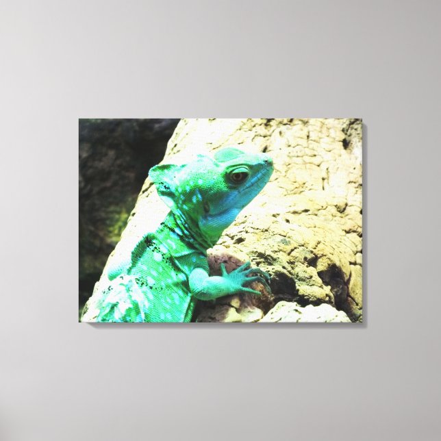 Lienzo Reptis alicus (Anverso)