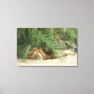 Lienzo Reserva de Mala Mala, provincia de Mpumalanga, del