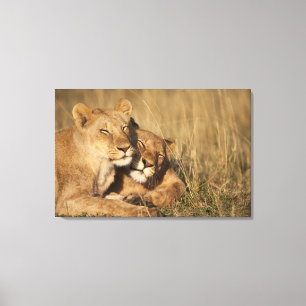 Lienzo Reserva del juego de África, Kenia, Mara del