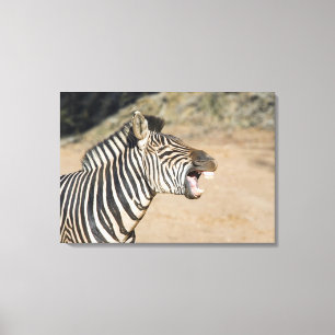 Lienzo Reserva del juego de Mkuze, provincia natal de