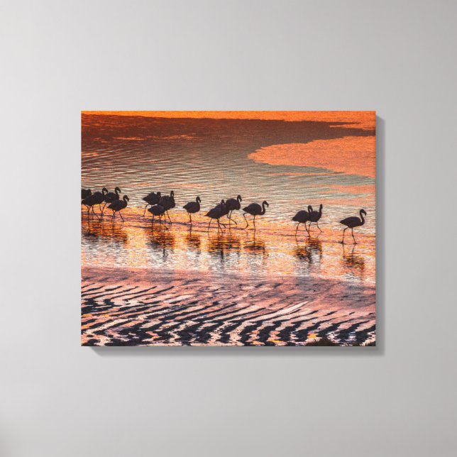 Lienzo Reserva Nacional de la Fauna Andina Eduardo Abaroa (Anverso)