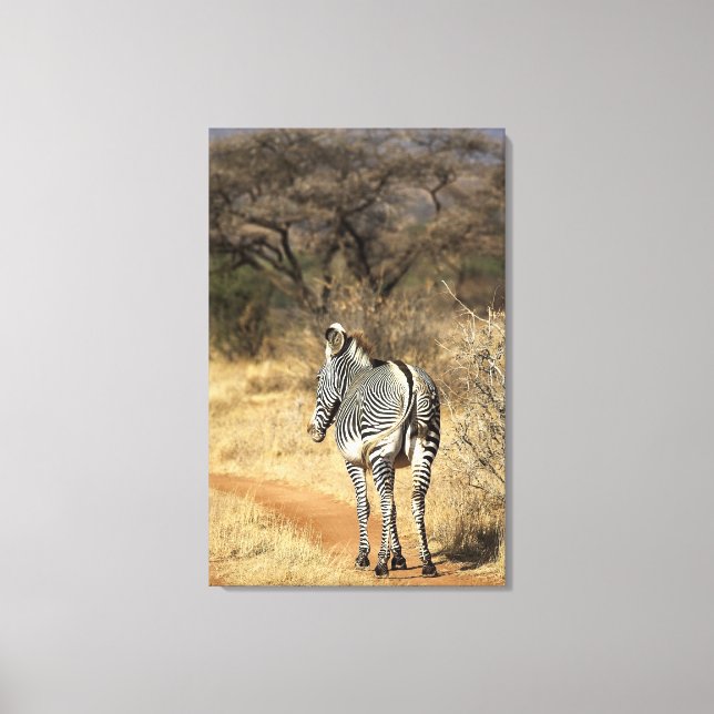 Lienzo Reserva Nacional Samburu, Kenya (Anverso)