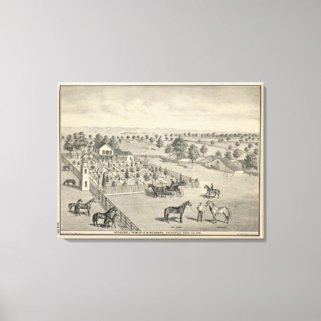 Lienzo Residencia de Woodard (Anverso)