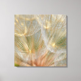 Lienzo Resplandor en el sol