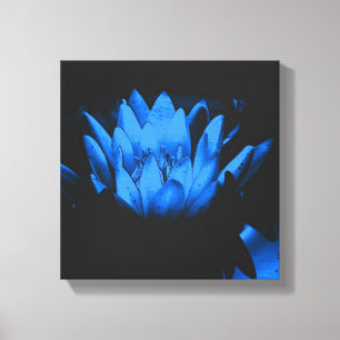 Lienzo Resumen de flores de Lily Lotus de Blue Water bril