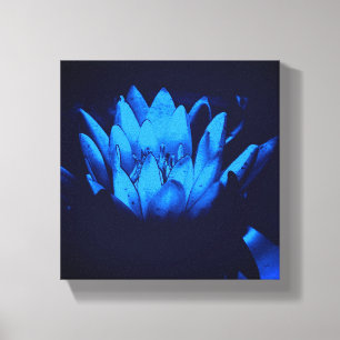 Lienzo Resumen de flores de Lily Lotus de Blue Water bril