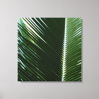 Lienzo Resumen verde tropical de palmeras que se abruman