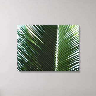 Lienzo Resumen verde tropical de palmeras que se abruman