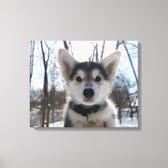 Lienzo Retrato al aire libre de cachorro de perro cascaró (Anverso)