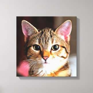 Lienzo Retrato artístico de gatos gatos gatos gatitos