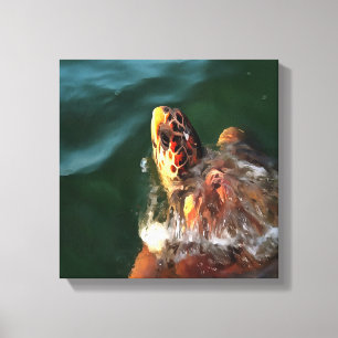 Lienzo Retrato artístico de la tortuga marina de la cabez