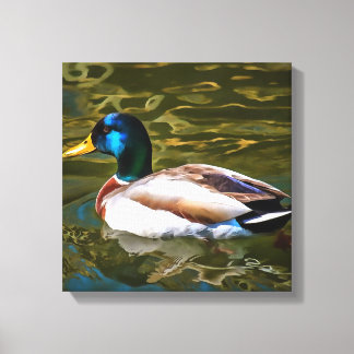 Lienzo Retrato artístico del pato mallard