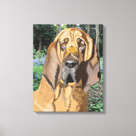 Lienzo Retrato Bloodhound