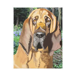 Lienzo Retrato Bloodhound