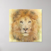 Retrato de acuarela de león africano